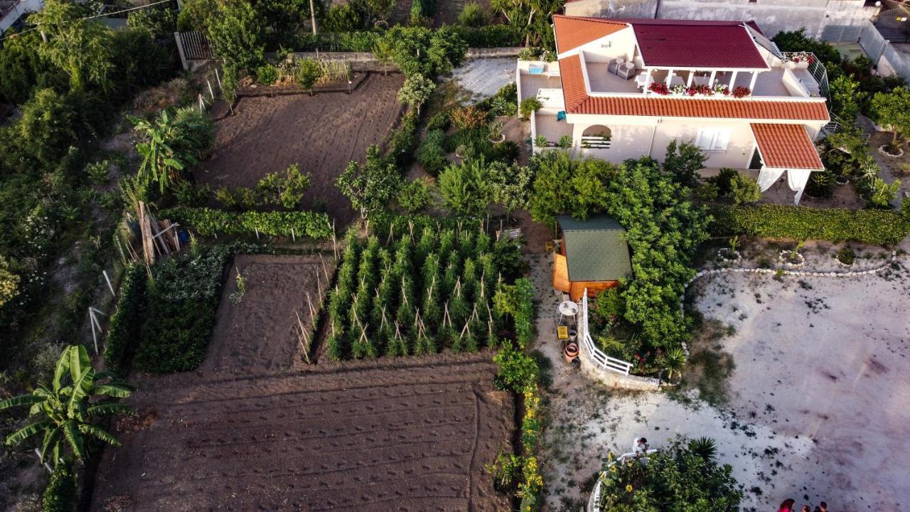 Michelino House Bed and Breakfast Parghelia Εξωτερικό φωτογραφία