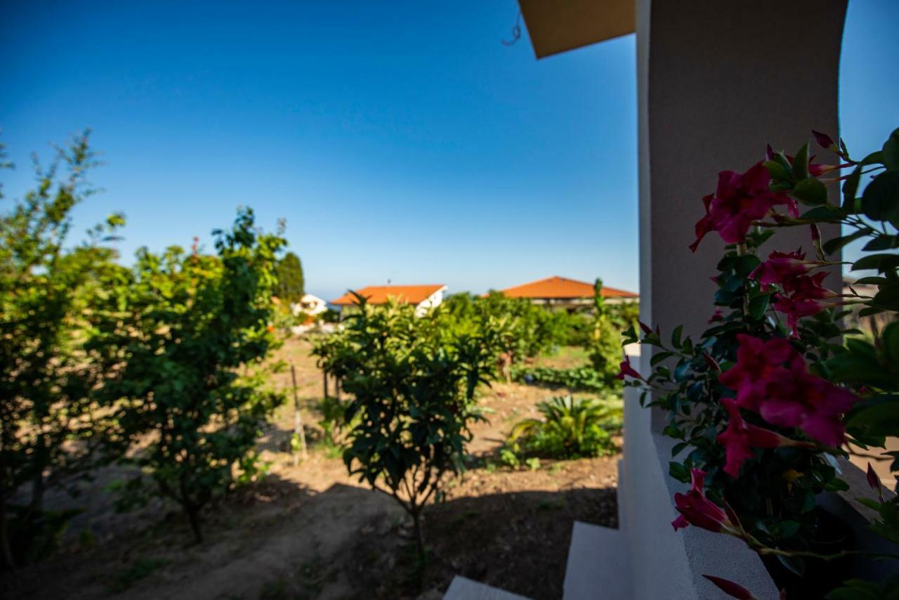 Michelino House Bed and Breakfast Parghelia Εξωτερικό φωτογραφία
